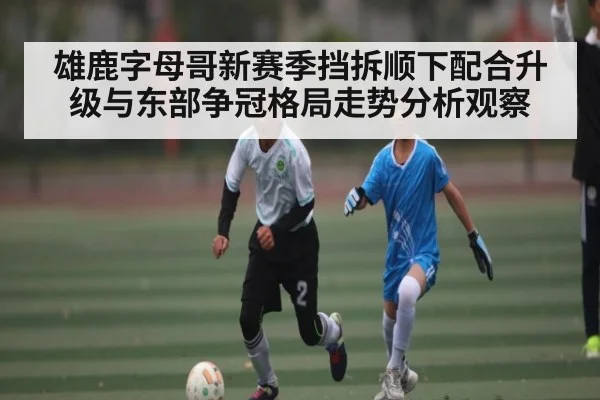 雄鹿字母哥新赛季挡拆顺下配合升级与东部争冠格局走势分析观察